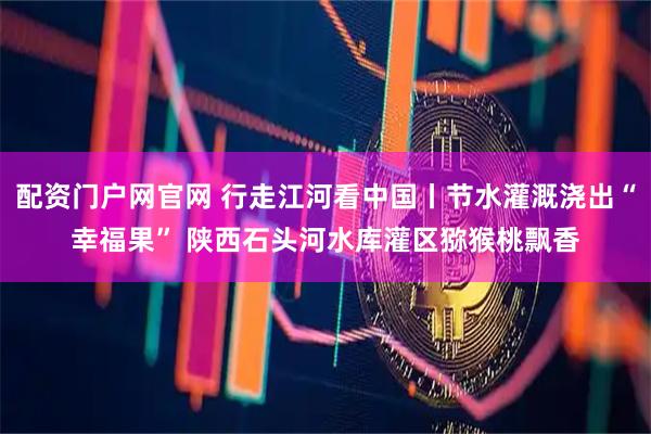 配资门户网官网 行走江河看中国丨节水灌溉浇出“幸福果” 陕西石头河水库灌区猕猴桃飘香